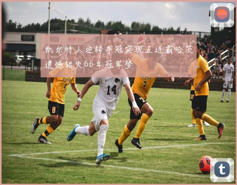 凯尔特人逆转夺冠实现五连霸哈茨遗憾错失66年冠军梦