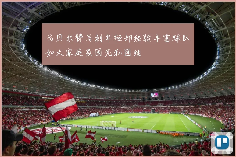 戈贝尔赞马刺年轻却经验丰富球队如大家庭氛围无私团结